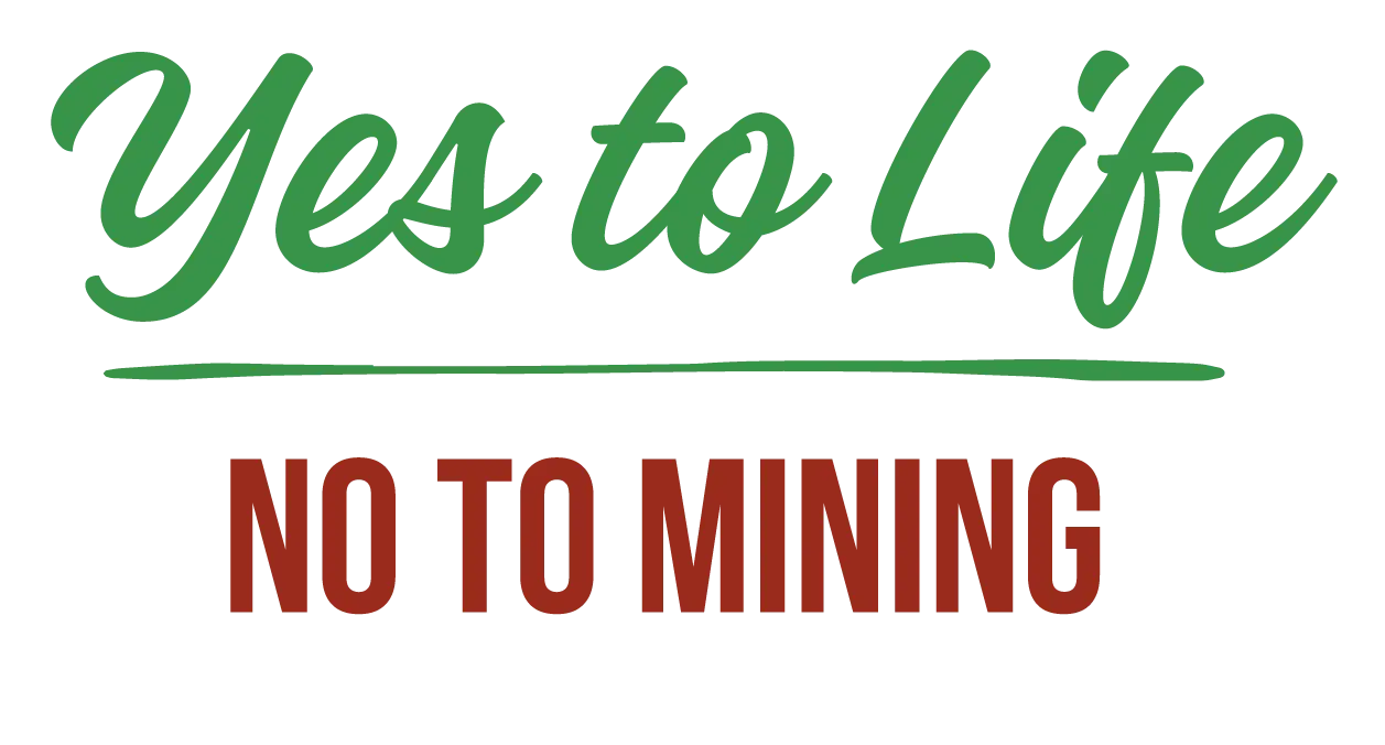 YLNM Logo EN Colour 2