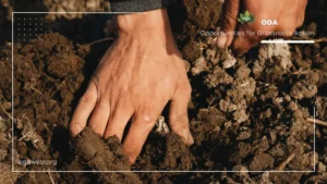 Bioremediation