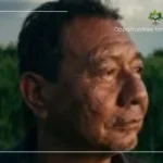Anastacio
